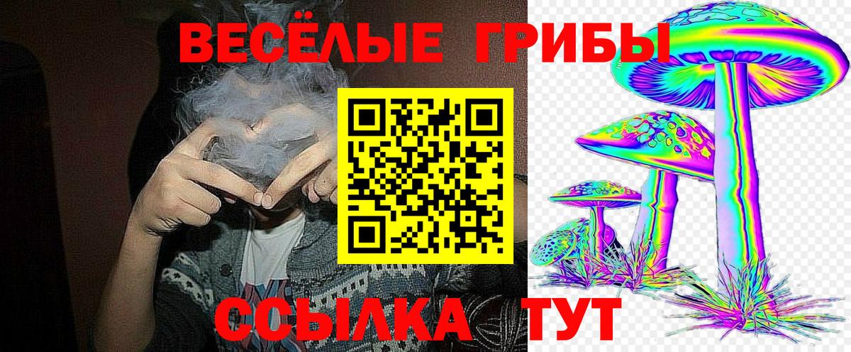Галлюциногенные грибы Cubensis Дмитров