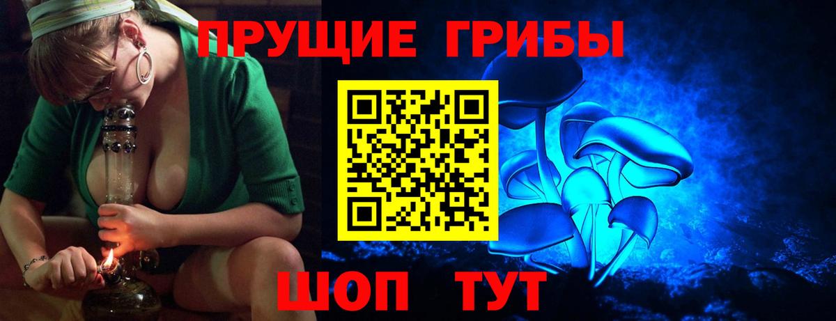 Псилоцибиновые грибы Psilocybine cubensis  Вход с VPN  Дмитров  Галлюциногенные грибы GOLDEN TEACHER 